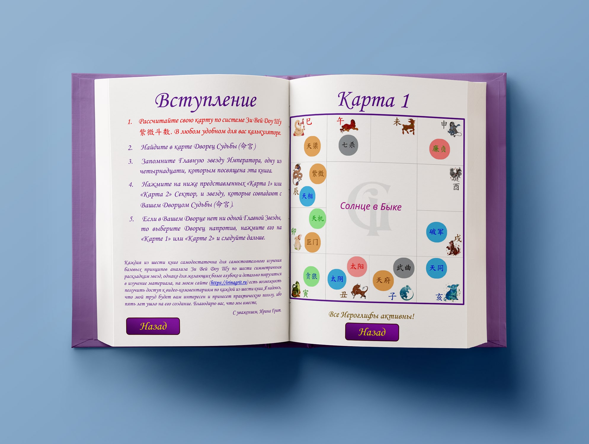 Обложка книги «Фиолетовый Император. Тай Ян в Быке-Козе. Дворец Судьбы по Зи Вей Доу Шу» — серия Метафизика Ирины Грит