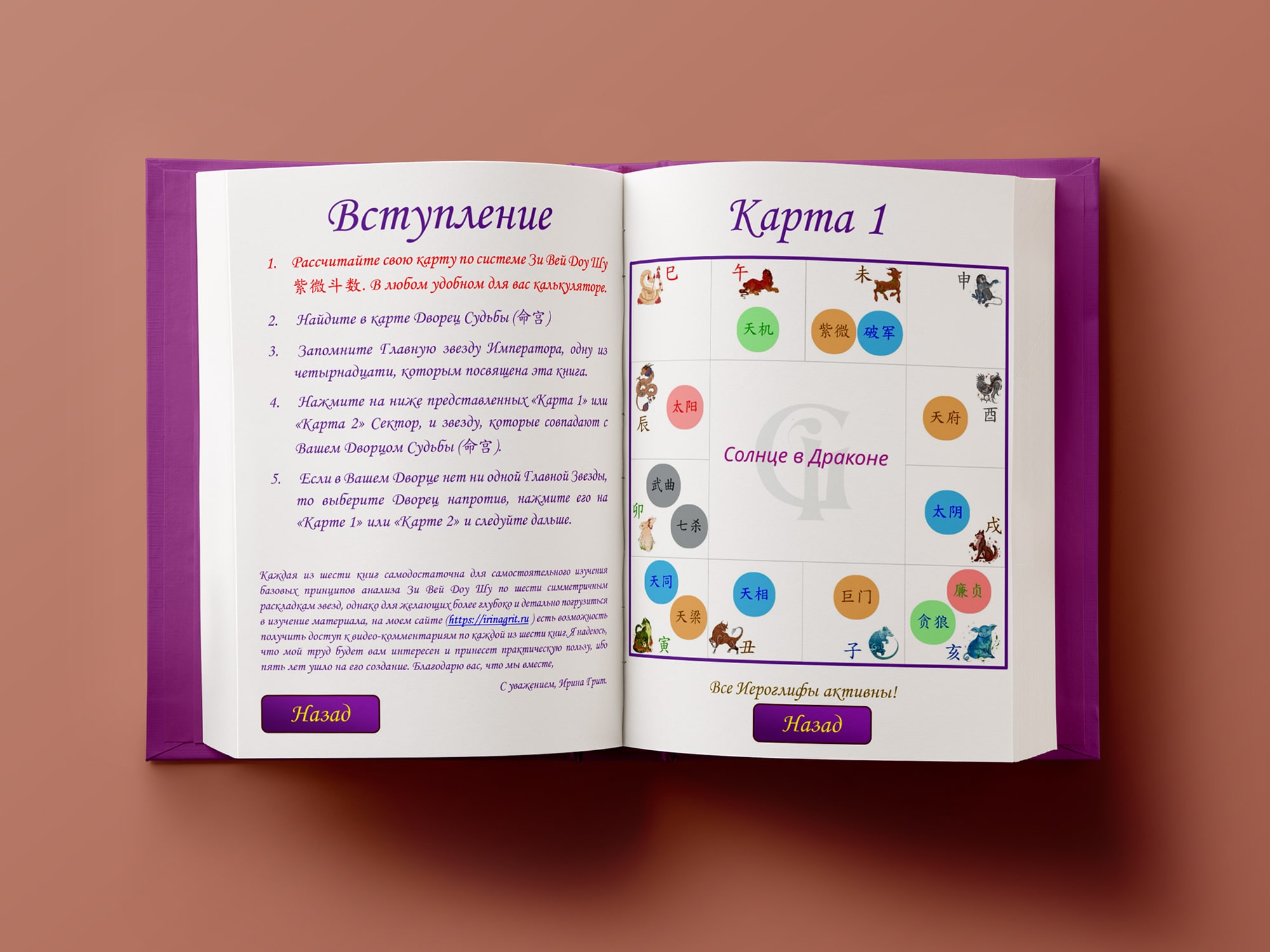 Обложка книги «Фиолетовый Император. Тай Ян в Драконе-Собаке. Дворец Судьбы по Цзы Вэй Доу Шу» — серия Метафизика Ирины Грит