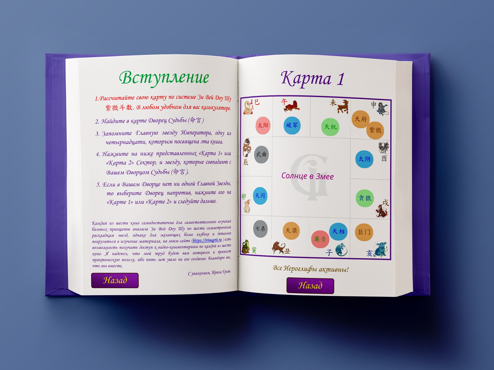 Обложка книги «Фиолетовый Император. Тай Ян в Змее-Свинье. Дворец Судьбы по Цзы Вэй Доу Шу» — серия Метафизика Ирины Грит