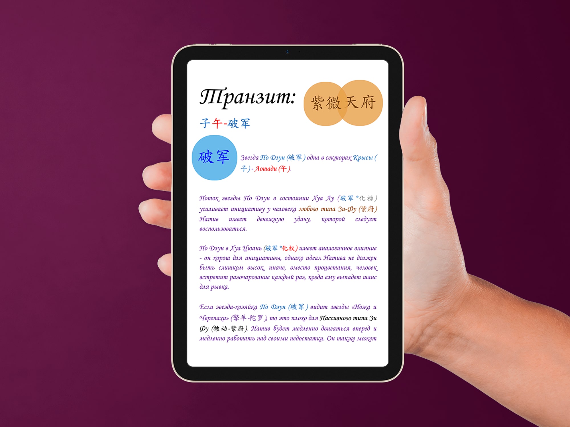 Обложка книги «Фиолетовый Император. Тай Ян в Змее-Свинье. Дворец Судьбы по Цзы Вэй Доу Шу» — серия Метафизика Ирины Грит