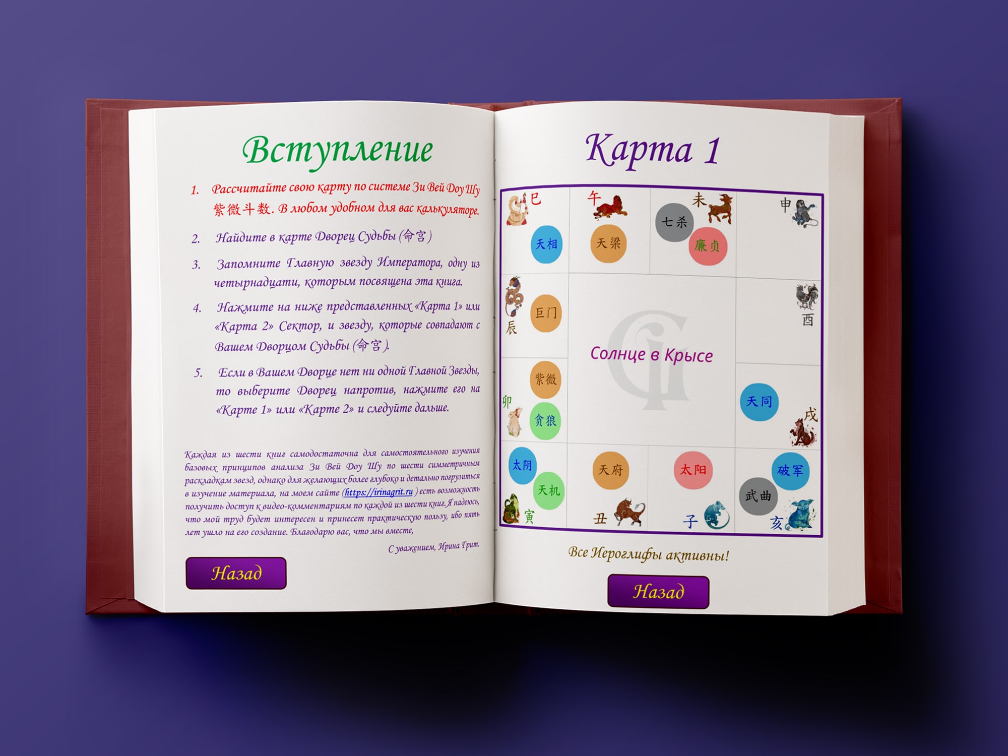 Обложка книги «Фиолетовый Император. Тай Ян в Крысе-Лошади. Дворец Судьбы по Цзы Вэй Доу Шу» — серия Метафизика Ирины Грит