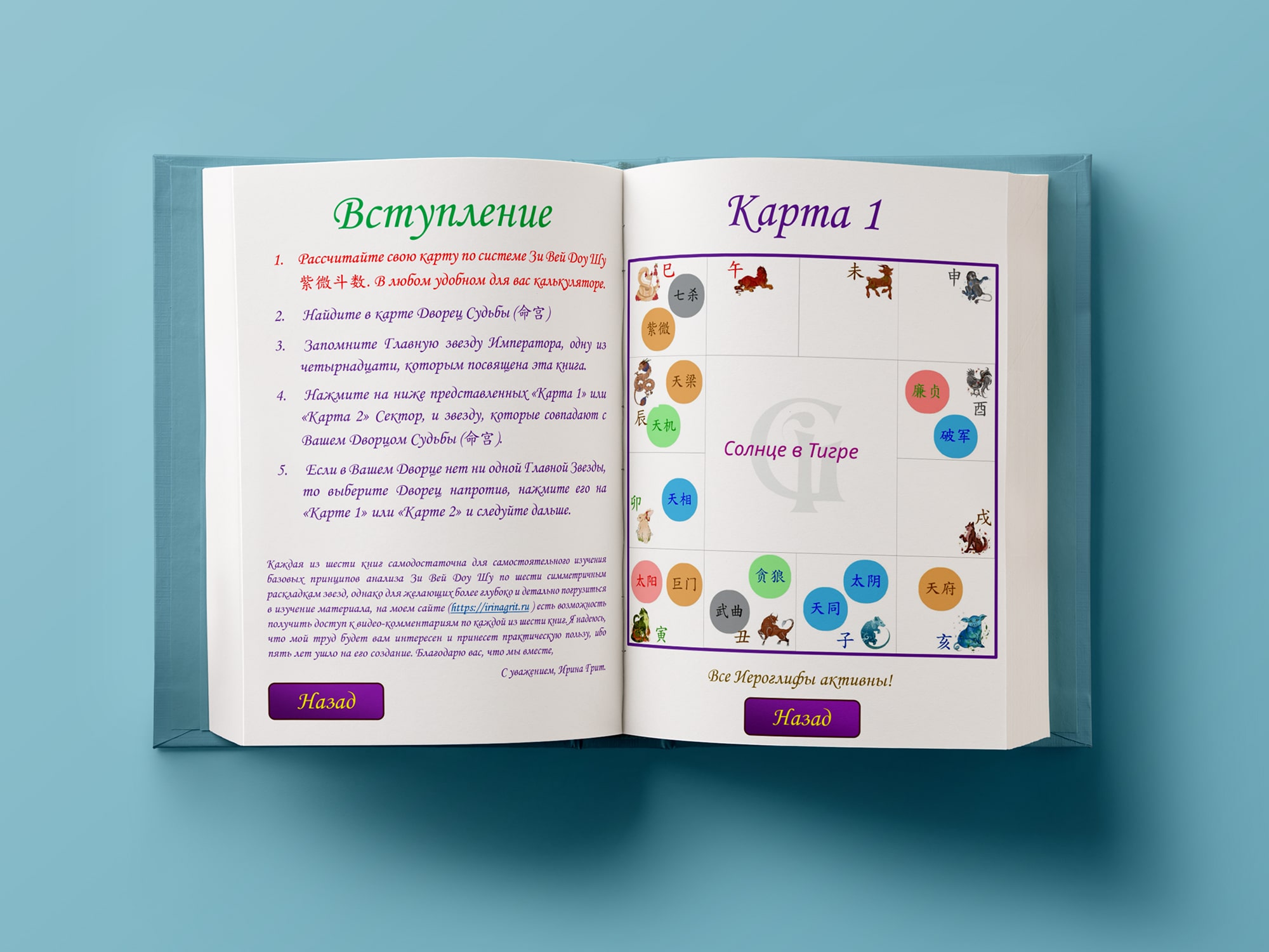 Обложка книги «Фиолетовый Император. Тай Ян в Тигре-Обезьяне. Дворец Судьбы по Цзы Вэй Доу Шу» — серия Метафизика Ирины Грит